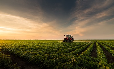 tractor in the field